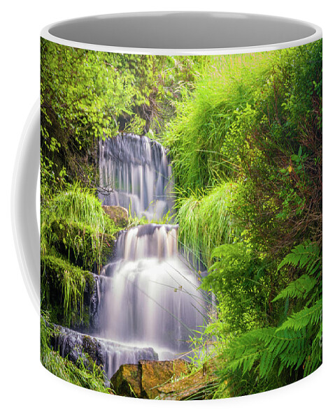 Airedale Coffee Mug featuring the photograph Bronte Waterfall #1 by Mariusz Talarek