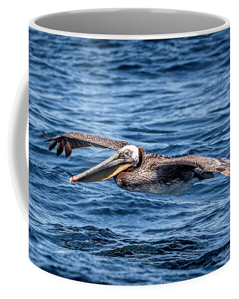 Brown Pelican Coffee Mug featuring the photograph Brown Pelican 4 #1 by Endre Balogh