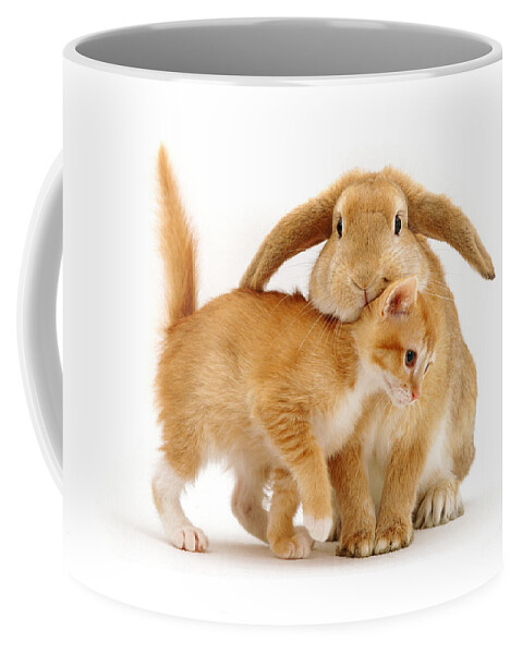 Ginger Coffee Mug featuring the photograph Bunny Rubbing #1 by Warren Photographic