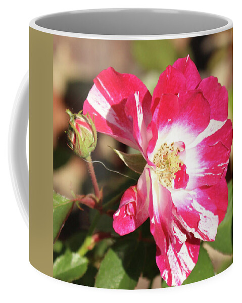 Rose Coffee Mug featuring the digital art Bursts of Fire #1 by Linda Ritlinger