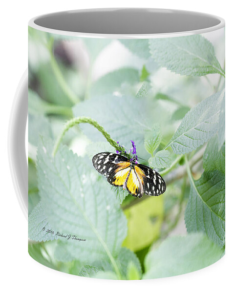 Butterfly Wonderland Coffee Mug featuring the photograph Tiger Butterfly by Richard J Thompson