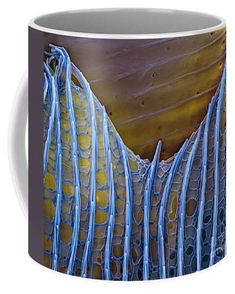 Science Coffee Mug featuring the photograph Butterfly Wing Scale Sem by Eye of Science