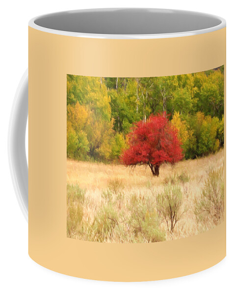 Autumn Coffee Mug featuring the photograph Autumn by Kathy Bassett