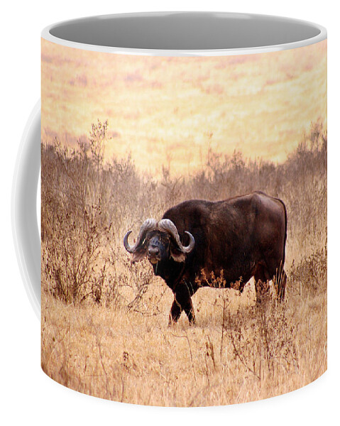 Cape Buffalo Coffee Mug featuring the photograph Cape Buffalo #1 by Bruce Block