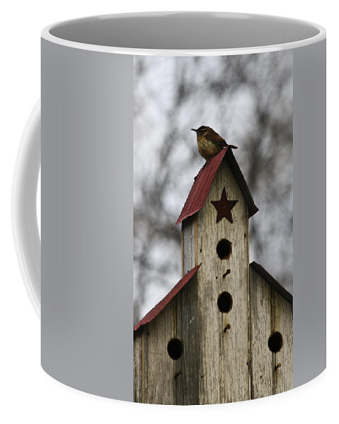 Carolina Coffee Mug featuring the photograph Carolina Wren #1 by Teresa Mucha
