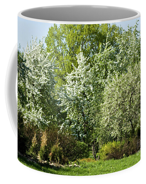 Spring Coffee Mug featuring the photograph Cherry garden in blossom #2 by Irina Afonskaya