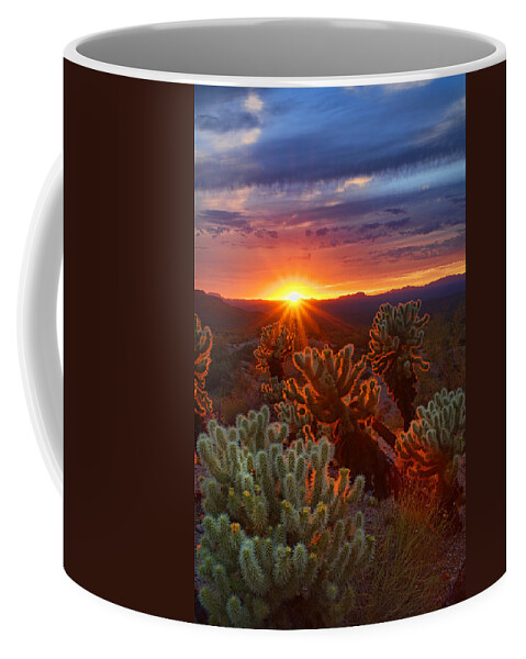 Sunset Coffee Mug featuring the photograph Cholla Sunset #1 by Saija Lehtonen