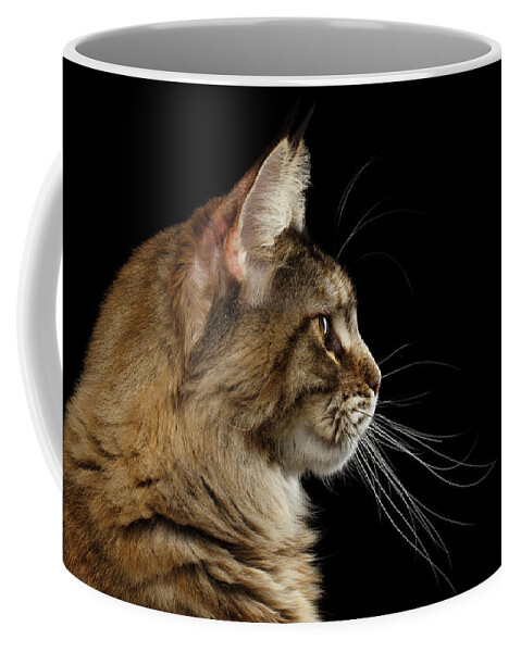 Cat Coffee Mug featuring the photograph Closeup Maine Coon Cat Portrait Isolated on Black Background #2 by Sergey Taran