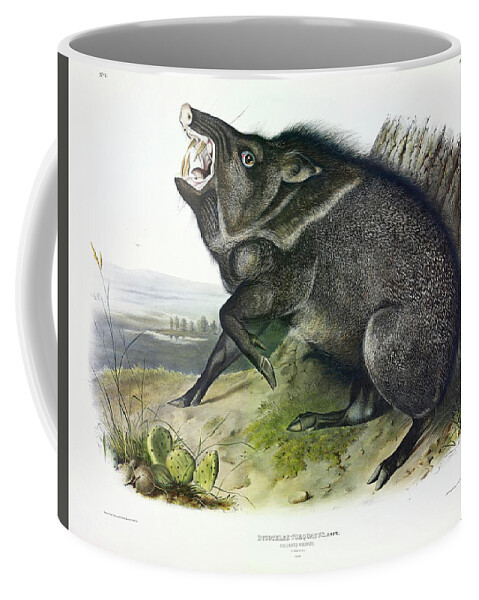 The Collared Peccary Coffee Mug featuring the painting Collared Peccary #1 by John James Audubon