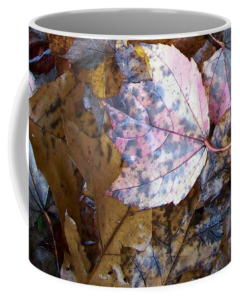 Fall Color Leaf Coffee Mug featuring the photograph Colors Of The Fall #1 by Wolfgang Schweizer