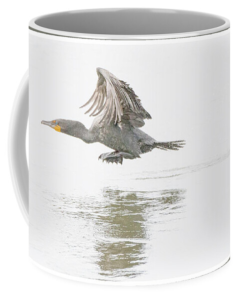 Cormorant Coffee Mug featuring the photograph Cormorant Takes to Flight #1 by A Macarthur Gurmankin