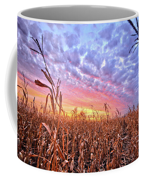 Sunset Coffee Mug featuring the photograph Corn Sunset 3 by Bonfire Photography