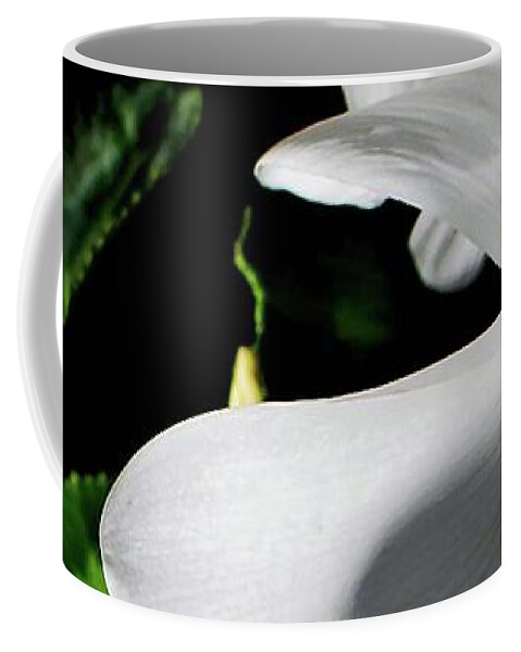 Cyclamen Coffee Mug featuring the photograph Cyclamen #1 by Mindy Newman