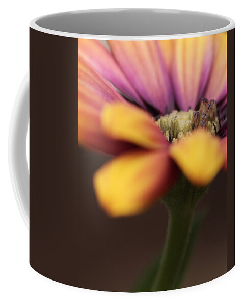 Flower Coffee Mug featuring the photograph Daisy #1 by Chris Smith