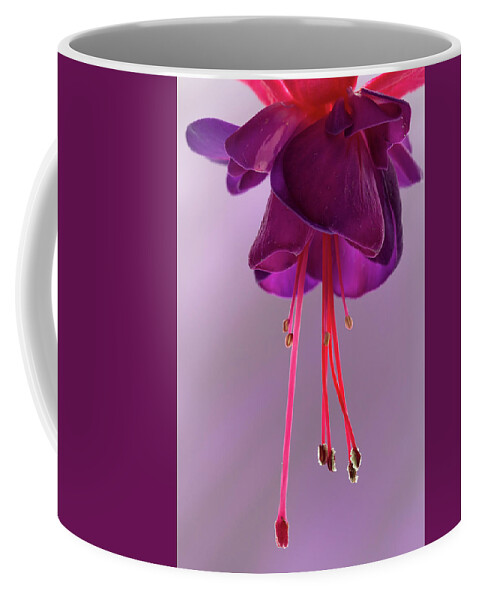 Flora Coffee Mug featuring the photograph Dance of the Fuschia #1 by Shirley Mitchell