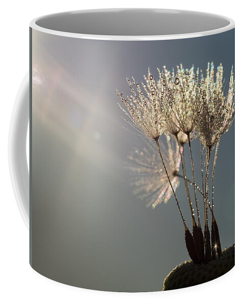 Dandelion Coffee Mug featuring the photograph Dandelion Plumes #1 by Brad Boland