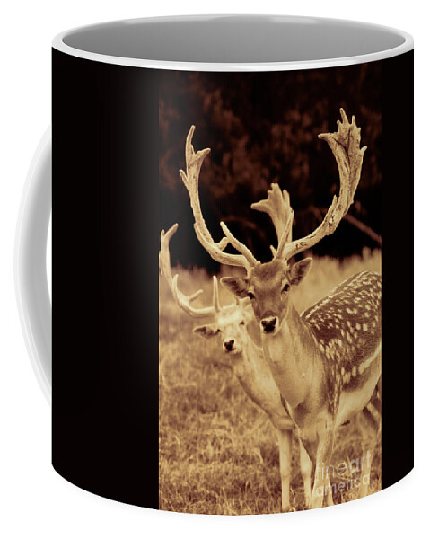 Deer Coffee Mug featuring the photograph Deer Sepia #1 by Douglas Barnard
