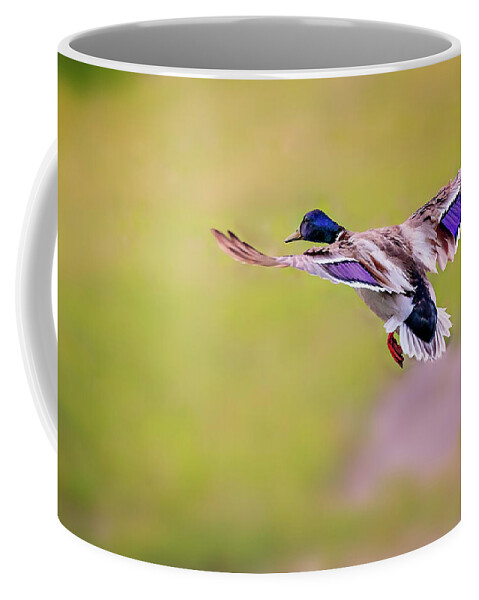 Animal Coffee Mug featuring the photograph Duck-drake by Peter Lakomy