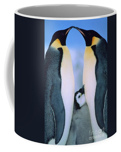 00140141 Coffee Mug featuring the photograph Emperor Penguin Family #1 by Tui de Roy