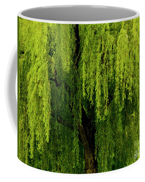 Willow Coffee Mug featuring the photograph Enchanting Weeping Willow Tree by Carol F Austin