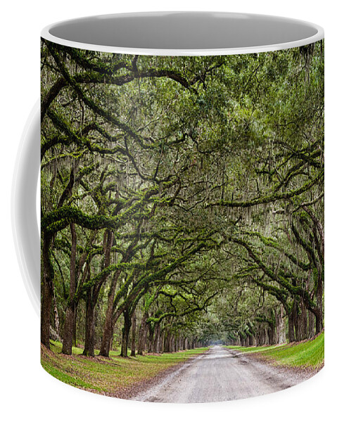 Oak Tunnel Coffee Mug featuring the photograph Endless Oaks Wormsloe Plantation Savannah Georgia #1 by Dawna Moore Photography