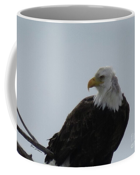 Bold Eagle Coffee Mug featuring the photograph Eye on you by Yumi Johnson