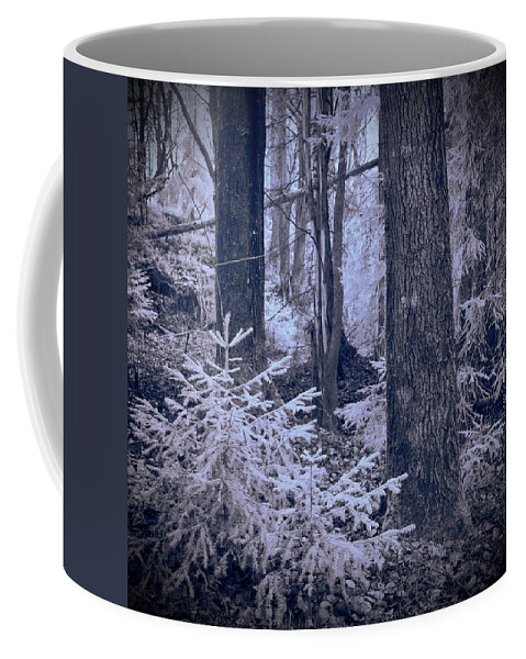 Jouko Lehto Coffee Mug featuring the photograph Fairy forest. Infrared by Jouko Lehto