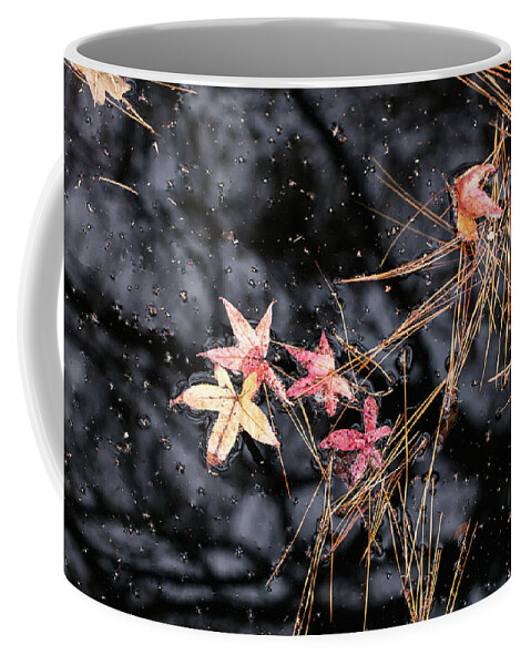 Scenic Coffee Mug featuring the photograph Fall Color 5528 56 #1 by M K Miller
