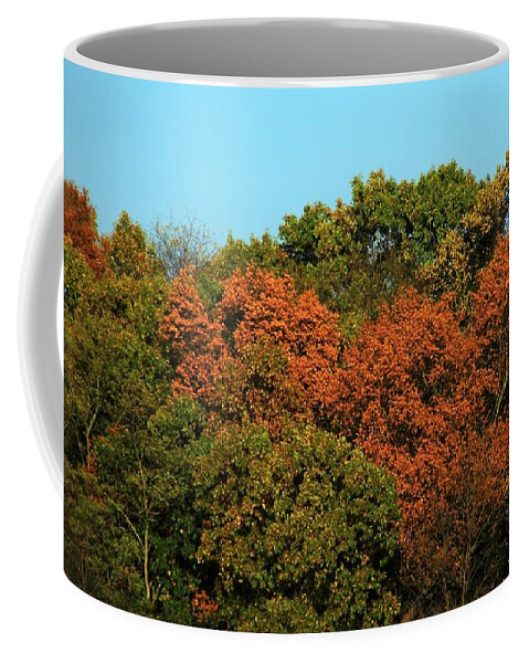 Fall Coffee Mug featuring the photograph Fall colors 16 #1 by Karl Rose