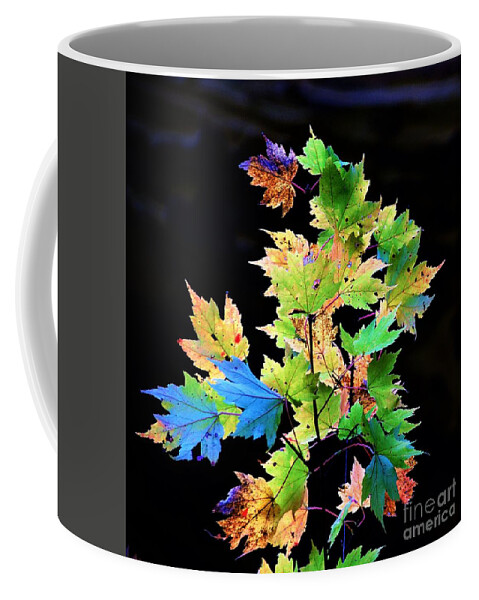 Autumn Coffee Mug featuring the photograph Fall Leaves by Merle Grenz