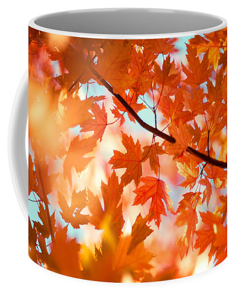 Leaves Coffee Mug featuring the photograph Field of Orange #1 by Todd Klassy