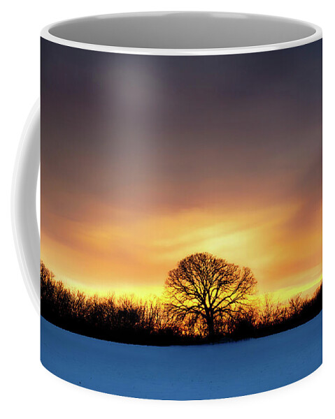  Coffee Mug featuring the photograph Fire In The Sky by Dan Hefle