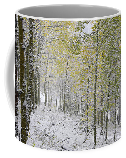 Fall Coffee Mug featuring the photograph First Snow Fall #2 by Matt Helm