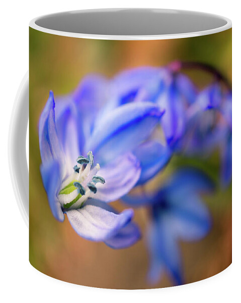 Spring Flowers Coffee Mug featuring the photograph First spring flowers #1 by Lilia S