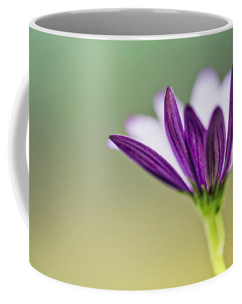Flower Coffee Mug featuring the photograph Flower on Summer Meadow by Nailia Schwarz