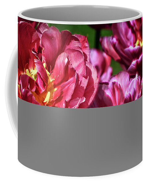 Flowers Coffee Mug featuring the photograph Flowers and Fractals #1 by Cameron Wood