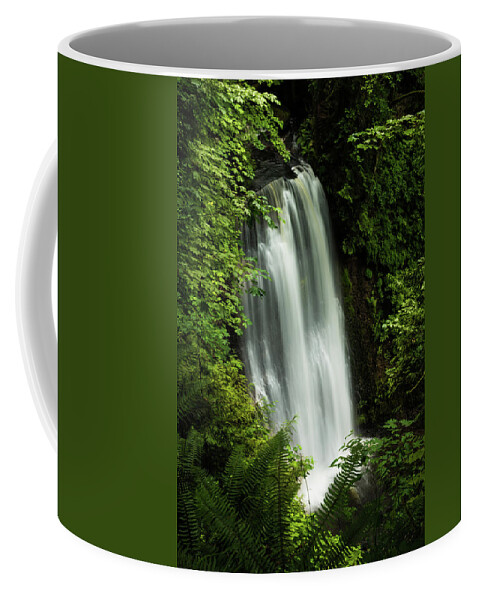 Waterfall Coffee Mug featuring the photograph Forest Waterfall #1 by Chris McKenna