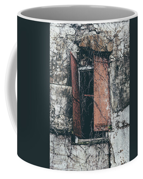 Abandoned Coffee Mug featuring the photograph Forgotten Homestead by Kim Hojnacki