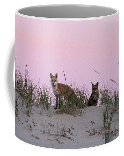 Fox Coffee Mug featuring the photograph Fox and Vixen #1 by Robert Banach