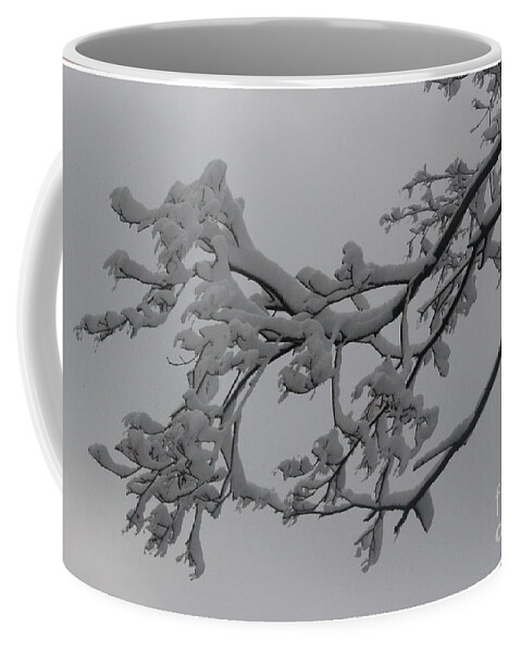 Winter Coffee Mug featuring the photograph Fresh Snow on Magnolia Tree #1 by Dora Sofia Caputo