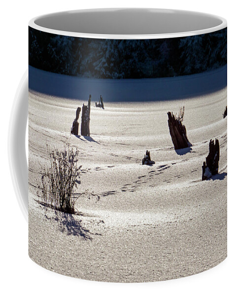 Frozen Coffee Mug featuring the photograph Frozen Lake #1 by Inge Riis McDonald