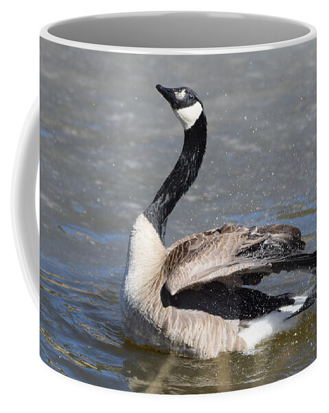 Animal Coffee Mug featuring the digital art Goose at Burgess Reservoir by Margarethe Binkley