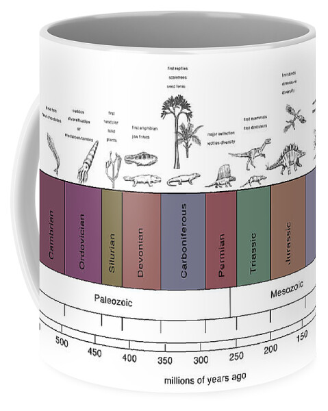 Paleozoic Coffee Mug featuring the photograph Geologic Time Line #1 by Spencer Sutton