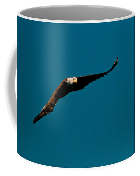 Eagle Coffee Mug featuring the photograph Glider #1 by Paul Mangold