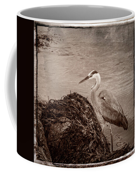Baril Coffee Mug featuring the photograph Great Blue Heron #1 by Frank Winters