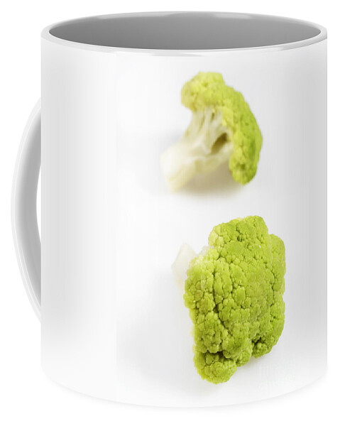 Botany Coffee Mug featuring the photograph Green Cauliflower #1 by Gerard Lacz