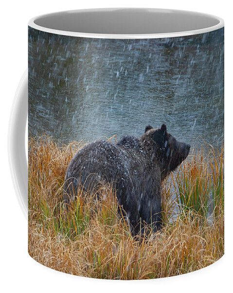 Mark Miller Photos Coffee Mug featuring the photograph Grizzly in Falling Snow #1 by Mark Miller
