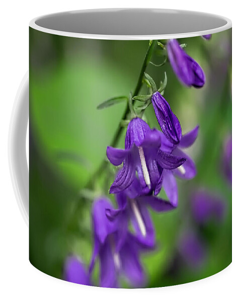 Bellflower Coffee Mug featuring the photograph Harebells 2n by Leif Sohlman