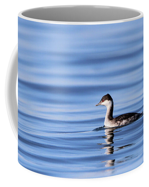 Horned Grebe Coffee Mug featuring the photograph Horned Grebe Kings Park New York #1 by Bob Savage