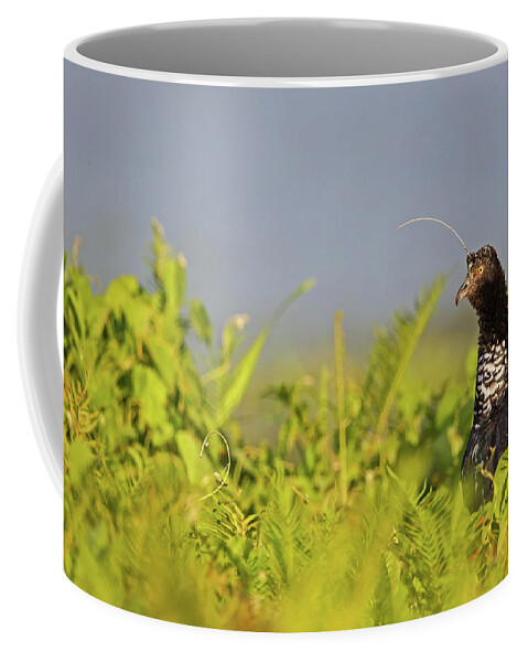 2015 Coffee Mug featuring the photograph Horned Screamer #2 by Jean-Luc Baron